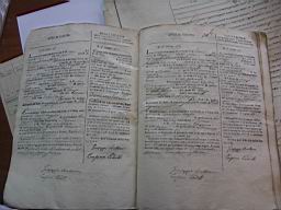 Foiano - Pellegrino Birth Record.JPG